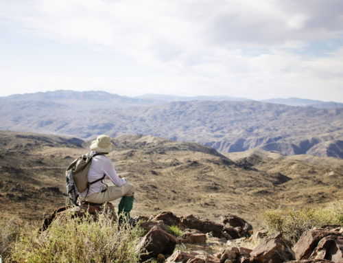 Freedom in the Absence of Humans: A Wilderness Philosophy