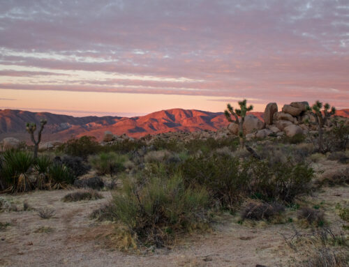 Sitting Alone: an Updated Wilderness Philosophy